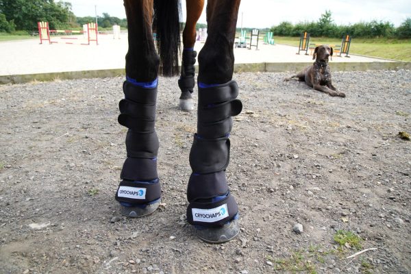 equine ice boots