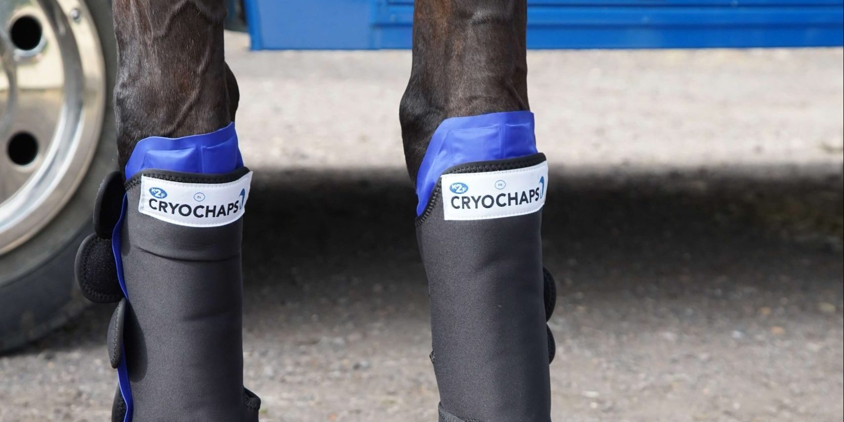Cryochaps Compression Ice Boots for Horses