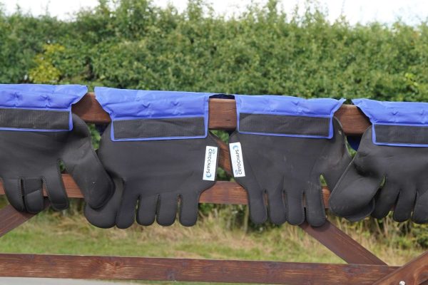Ice Boots for Horses