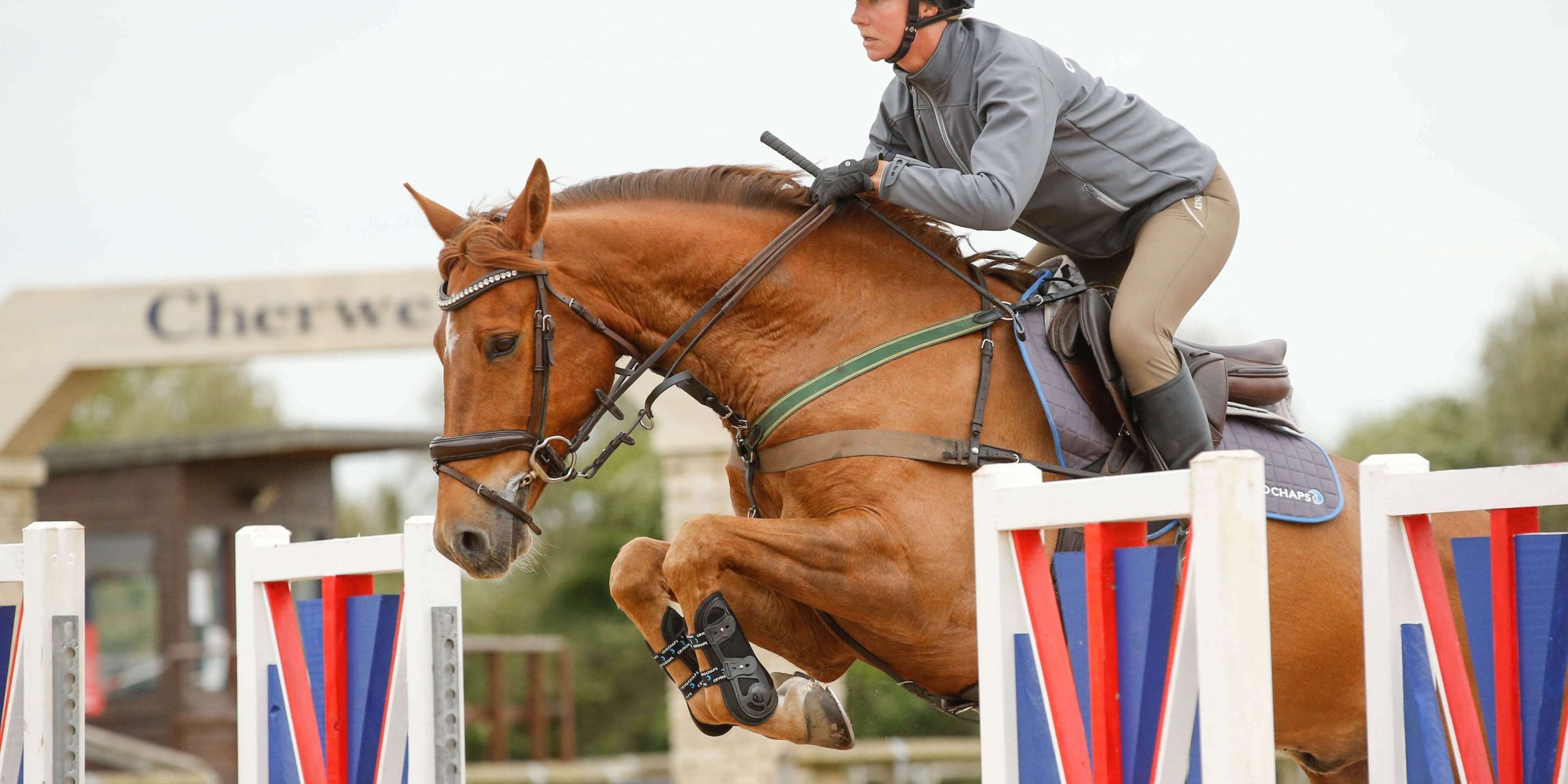 What Are the Best Jumping Boots for Horses? Cryochaps Blog